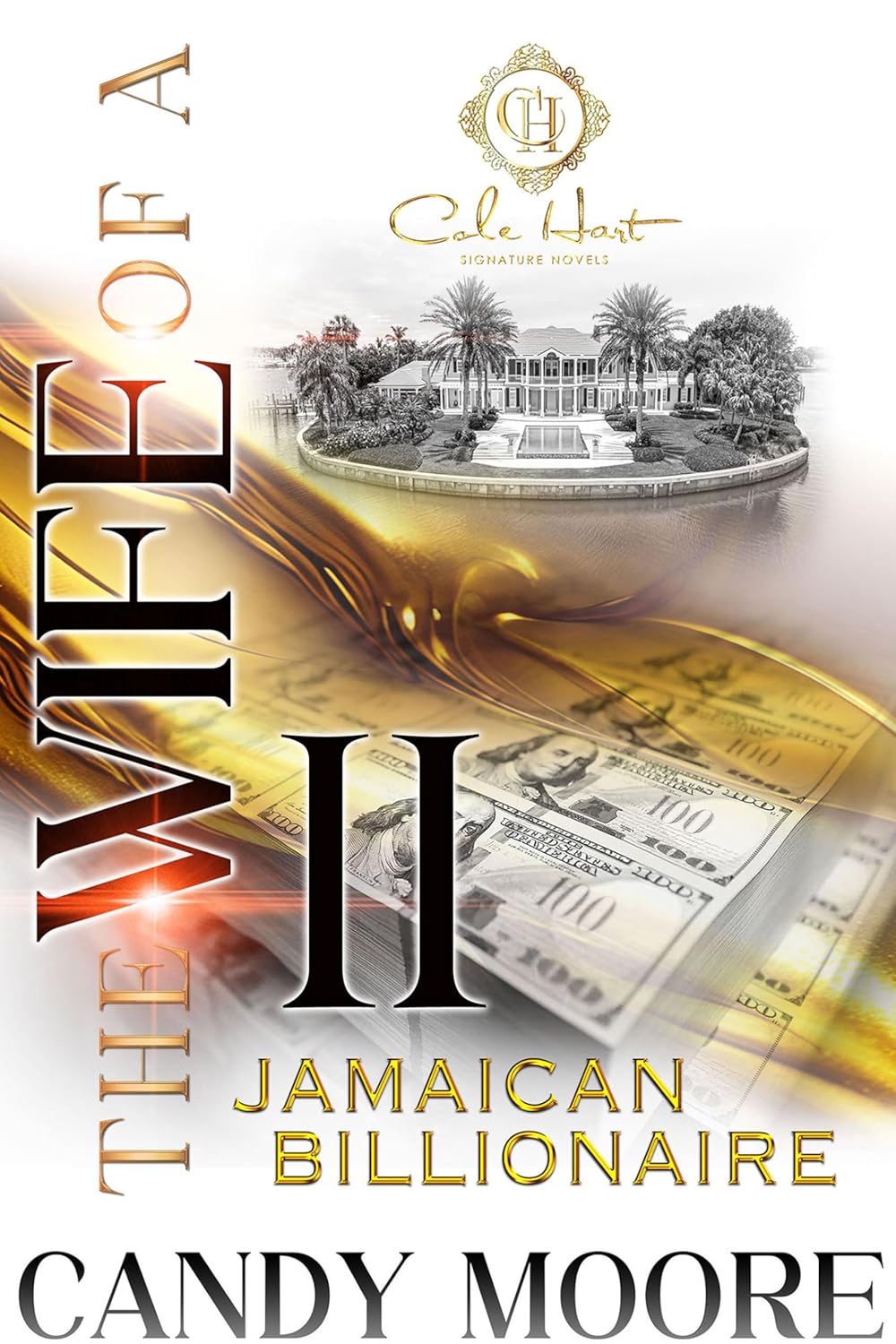 The Wife Of A Jamaican Billionaire 2: An African American Romance